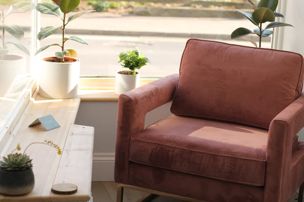 Waiting area with pink velvet armchair and plants